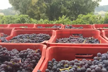 Un'immagine generica segnaposto con angoli arrotondati in una figura.